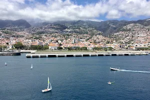 Cruise Pirs Funchal image