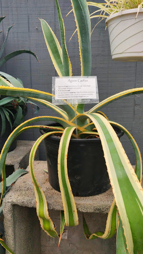 Garden Center «Whispering Pine Garden Center & Florist», reviews and photos, 1 Windsor Rd, Yorktown Heights, NY 10598, USA