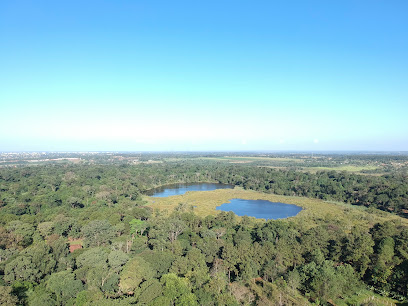 Centro de Formación de Técnico Superior Forestal Alto Paraná
