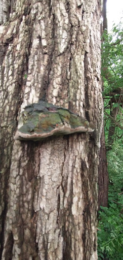 Golf Course «California Golf Course», reviews and photos, 5924 Kellogg Ave, Cincinnati, OH 45228, USA