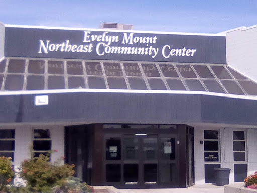 Community Center «Evelyn Mount Northeast Community Center», reviews and photos, 1301 Valley Rd, Reno, NV 89512, USA
