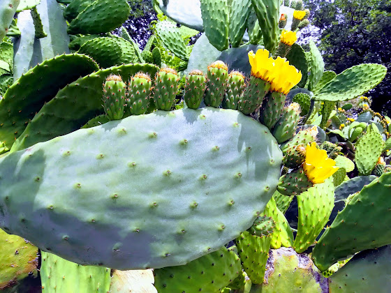 Photos des visiteurs Vacances à la ferme Casale 5 Querce 64025 Pineto