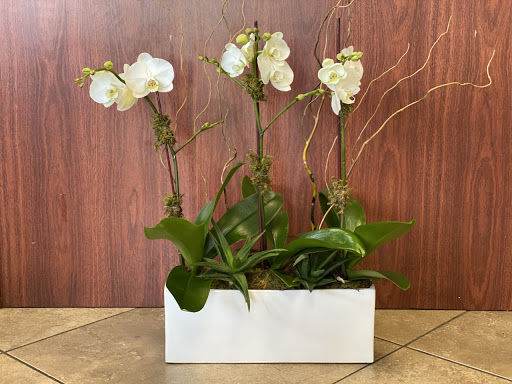 Florist «Abbott Florist», reviews and photos, 1008 71st St, Miami Beach, FL 33141, USA