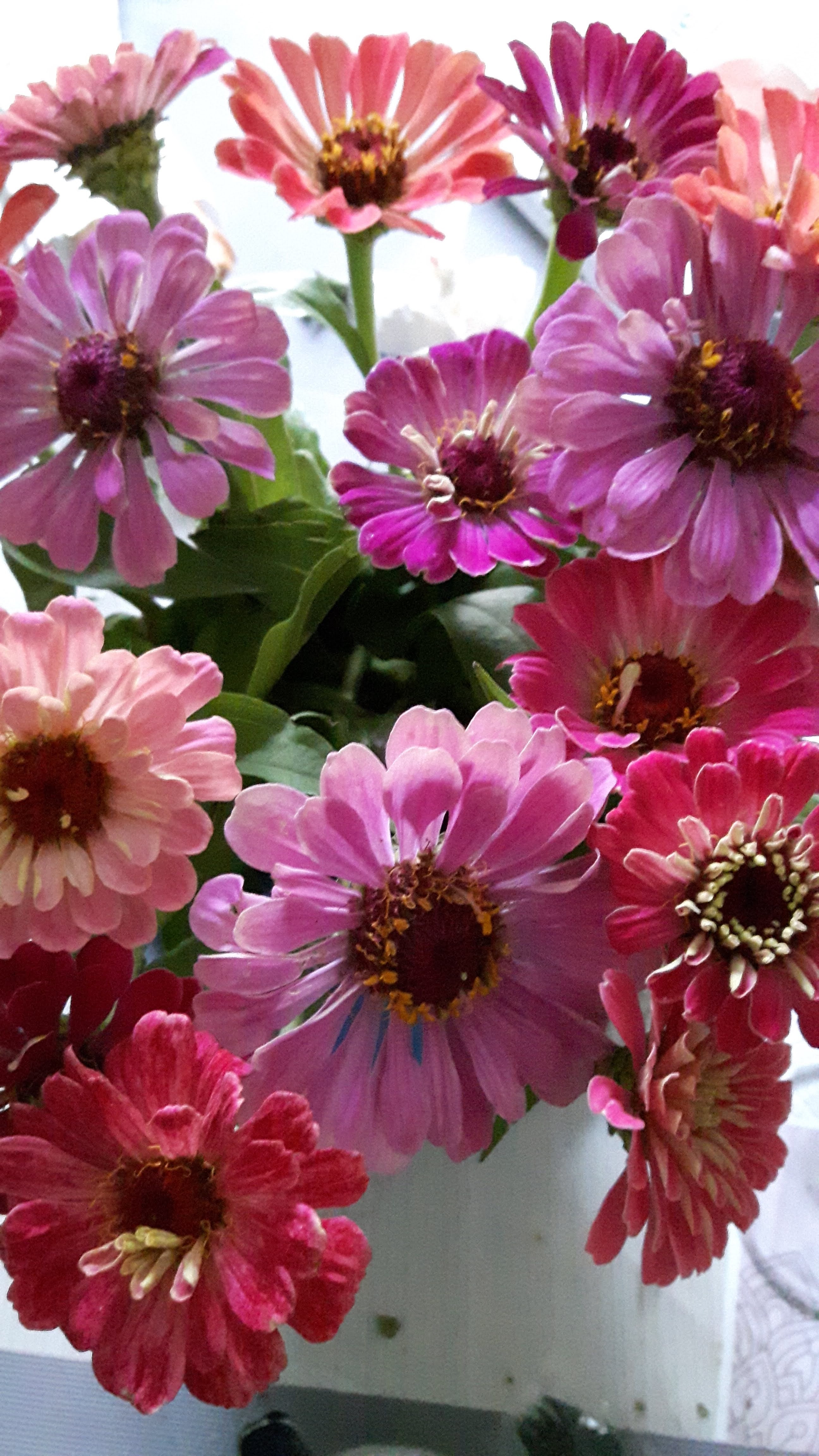 Photo n° 1 de l'avis de Delphes.a fait le 13/10/2020 à 09:41