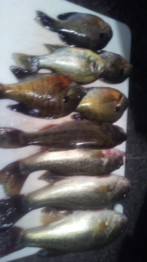 Bait Shop «The Bait Barn», reviews and photos, 3241 N Arlington Ave, Indianapolis, IN 46218, USA