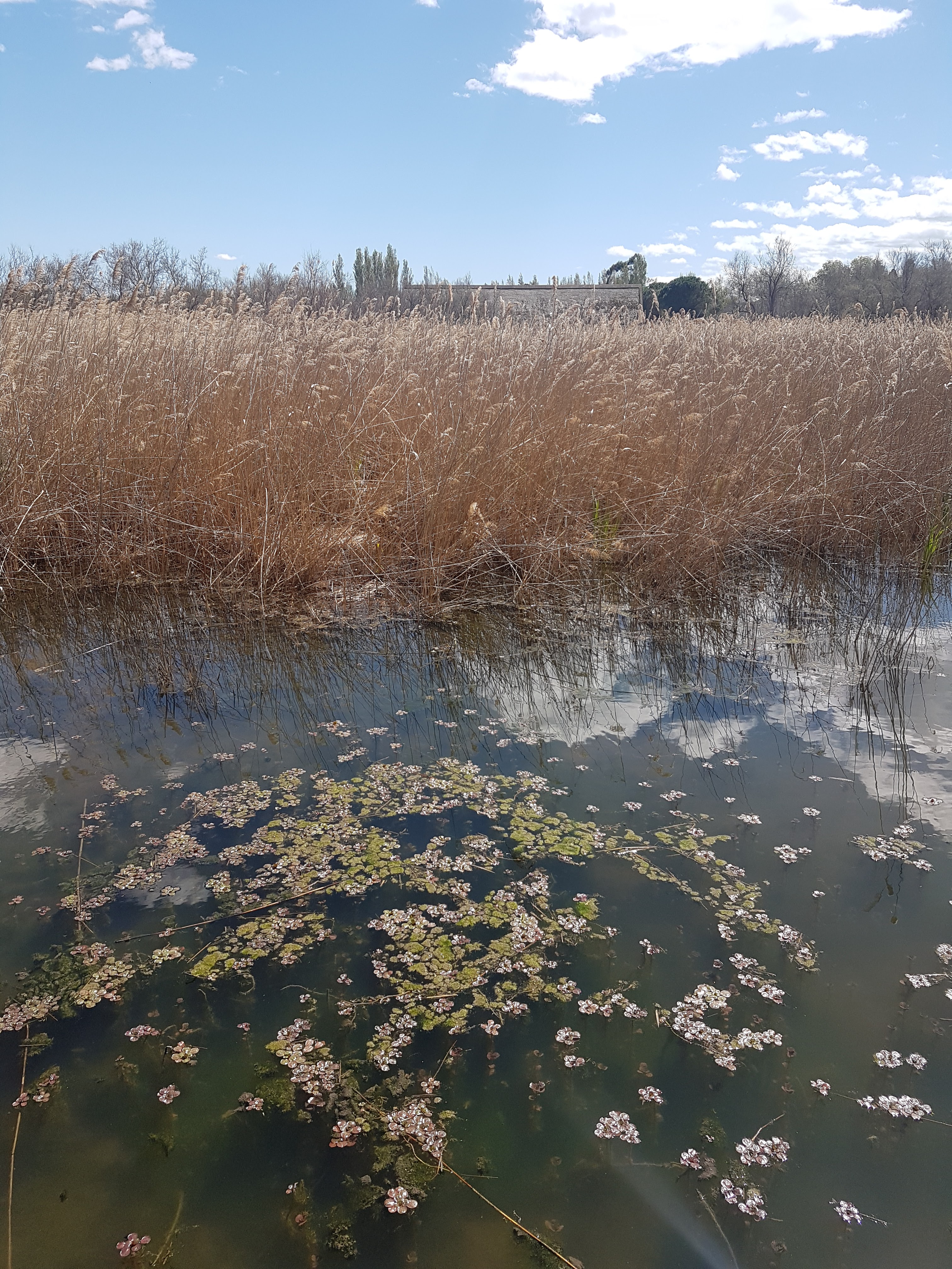 Photo n° 2 de l'avis de Aure.y fait le 09/04/2022 à 14:58