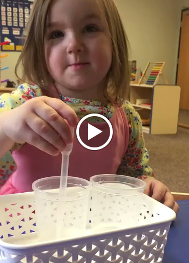 Montessori School «Sonnet Montessori», reviews and photos, 4637 Park Nicollet Ave SE, Prior Lake, MN 55372, USA