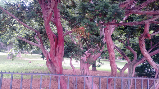 Park «Carl Schurz Park», reviews and photos, East 86th Street & East End Ave, New York, NY 10028, USA