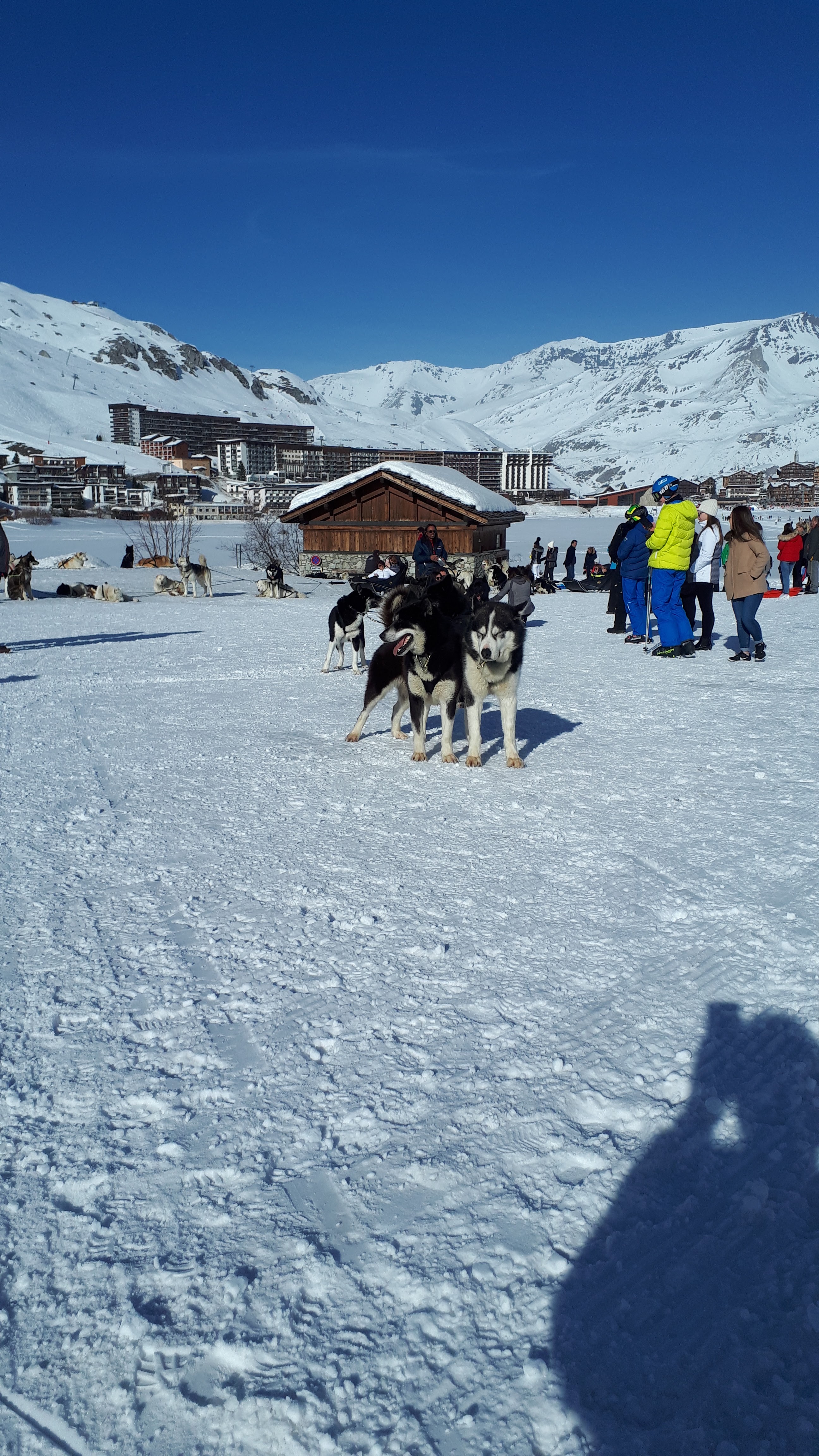 Photo n° 1 de l'avis de Masson.� fait le 16/04/2019 à 12:55
