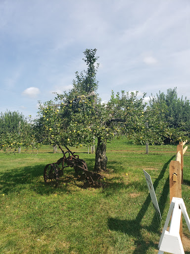 Orchard «Riamede Farm», reviews and photos, 122 Oakdale Rd, Chester, NJ 07930, USA