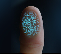 Indova - Photo 8 - Car repair in , Cape Coral