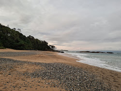 Korora Beach'in fotoğrafı imkanlar alanı