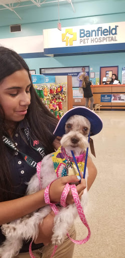 Supermarket «ALDI», reviews and photos, 16500 SW 88th St, Miami, FL 33196, USA