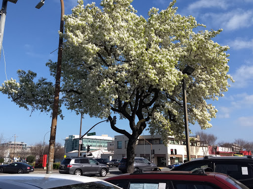 Used Car Dealer «Auto City», reviews and photos, 694 El Camino Real, Redwood City, CA 94063, USA