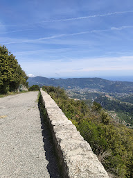 Photo n°7 de SACPA - Nice à Falicon ()