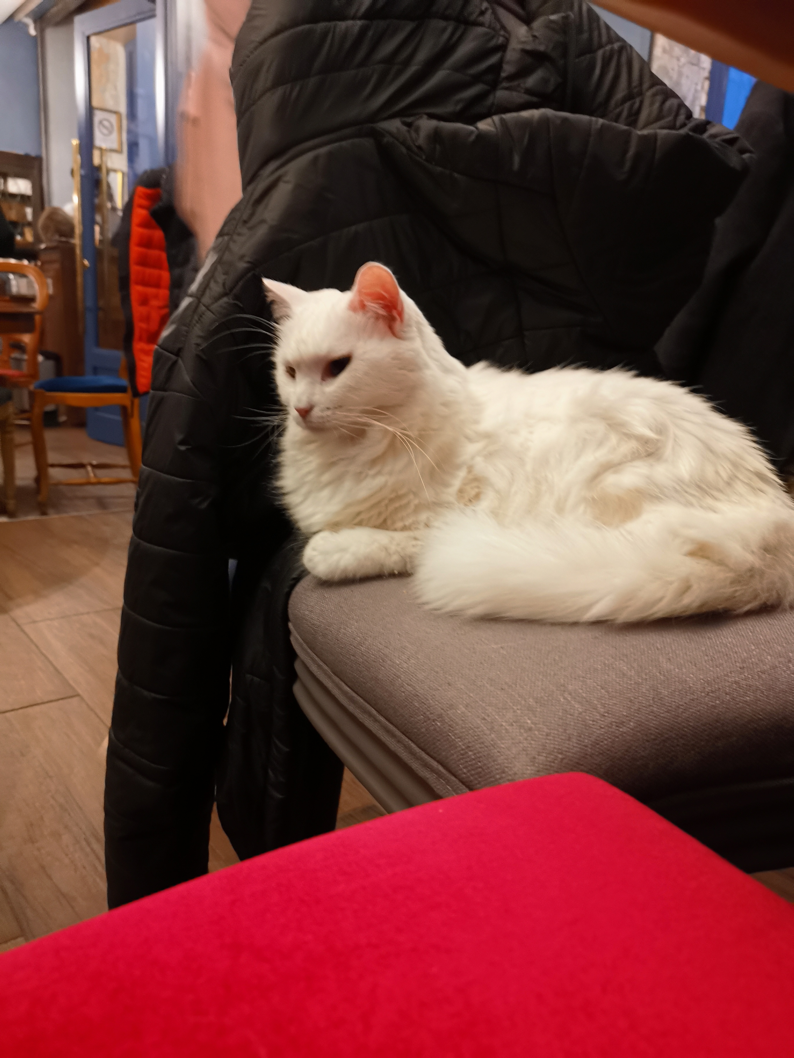 Photo n° 5 de l'avis de Evelyne.o fait le 20/02/2022 à 14:43