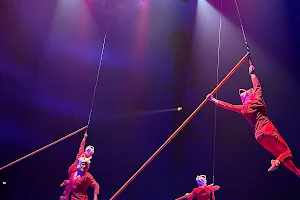 Cirque Du Soleil ECHO image