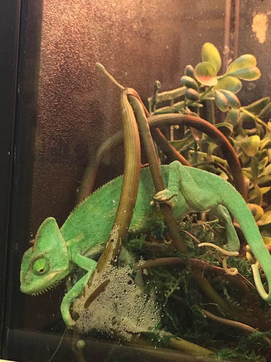 Pet Supply Store «PetSmart», reviews and photos, 315 Gellert Blvd, Daly City, CA 94015, USA