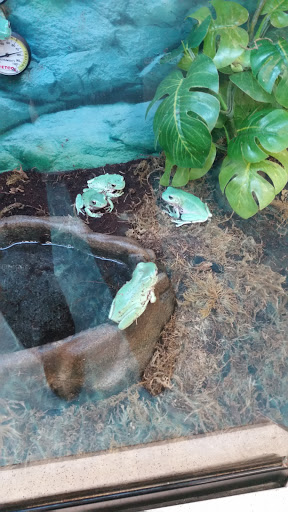 Pet Supply Store «Petco Animal Supplies», reviews and photos, 1111 US-46, Parsippany, NJ 07054, USA