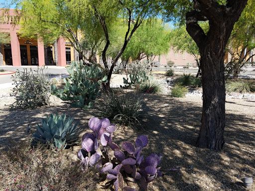 Hotel «Desert Diamond Casino & Hotel», reviews and photos, 7350 South Nogales Highway, Tucson, AZ 85756, USA