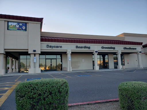 Camp Run-A-Mutt Phoenix