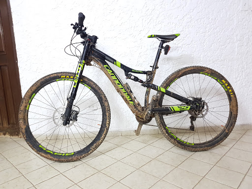 Cannondale Bike Store - Aro y Pedal