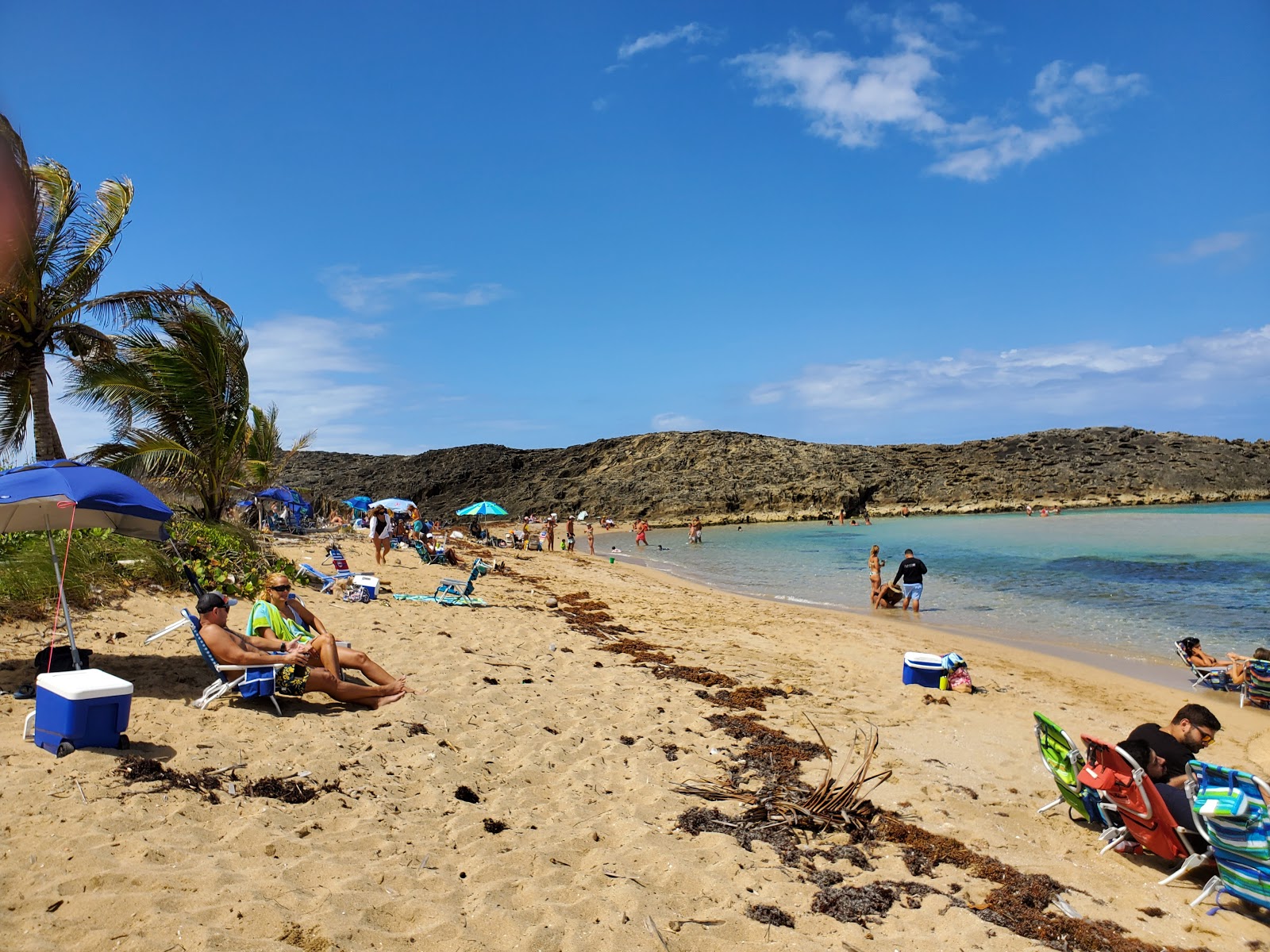 Φωτογραφία του Playa Tombolo beach με επίπεδο καθαριότητας εν μέρει καθαρό