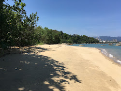 Wild Beach'in fotoğrafı ve yerleşim