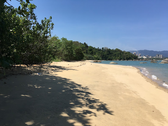 Wild Beach