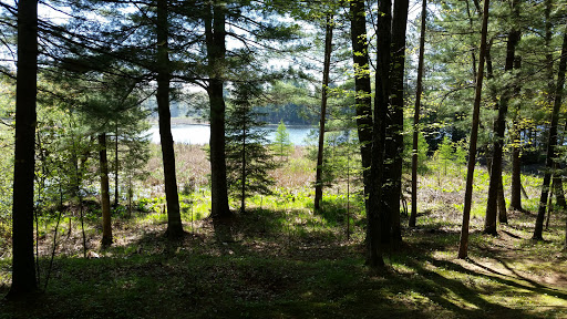 Club «Norwood Pines Supper Club», reviews and photos, 10171 WI-70, Minocqua, WI 54548, USA