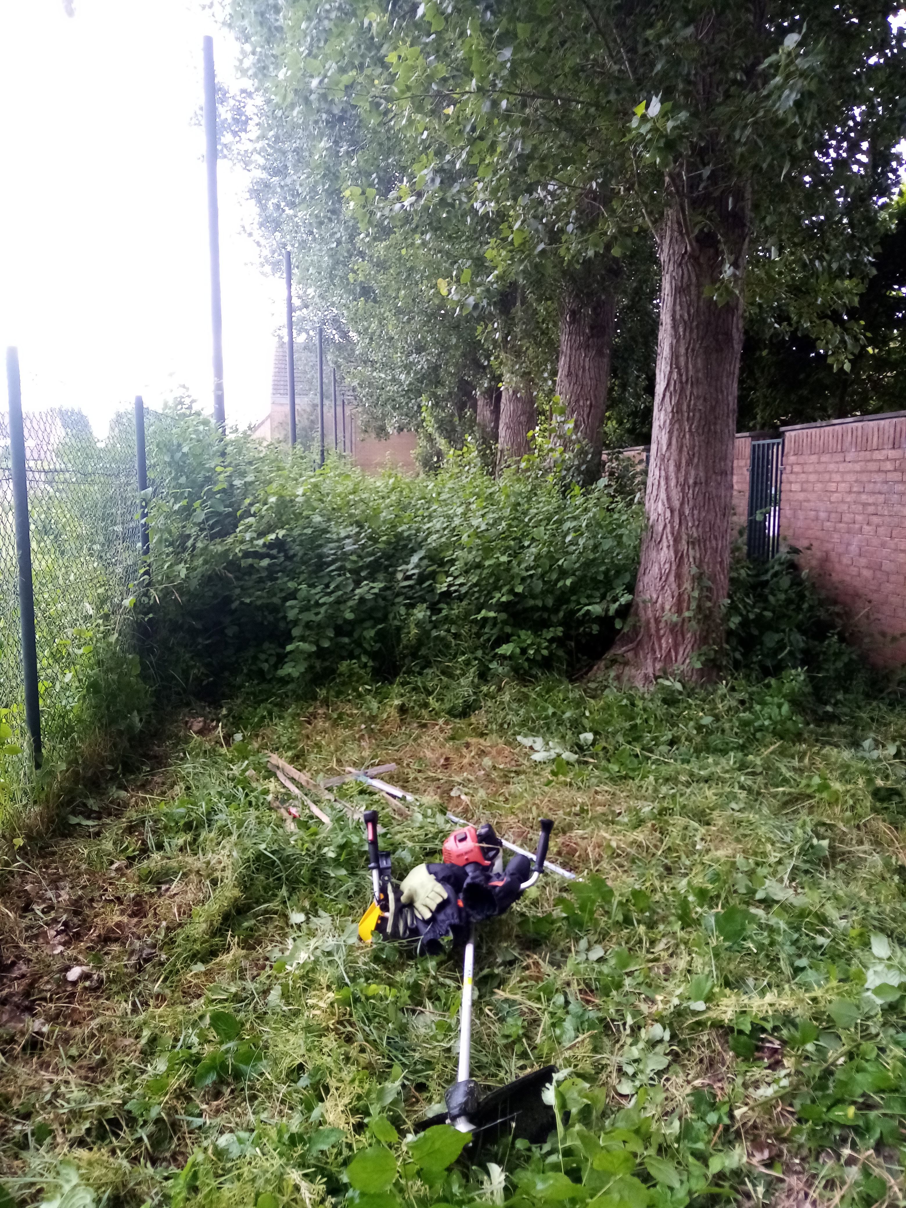 Photo n° 10 de l'avis de gerard.e fait le 09/01/2023 à 15:18