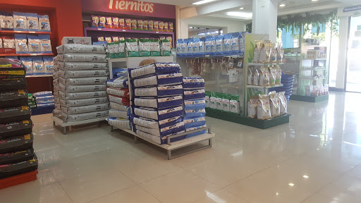 Tiendas de venta de semillas en Asunción