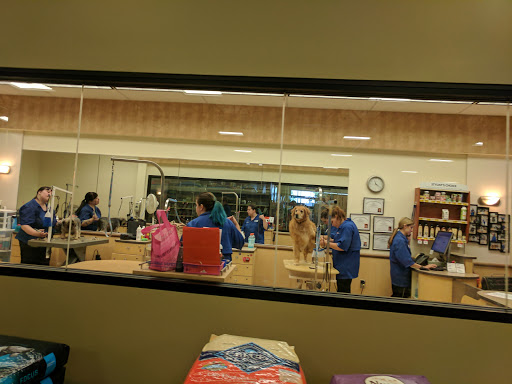 Pet Supply Store «PetSmart», reviews and photos, 4013 Wisconsin 28, Kohler, WI 53081, USA