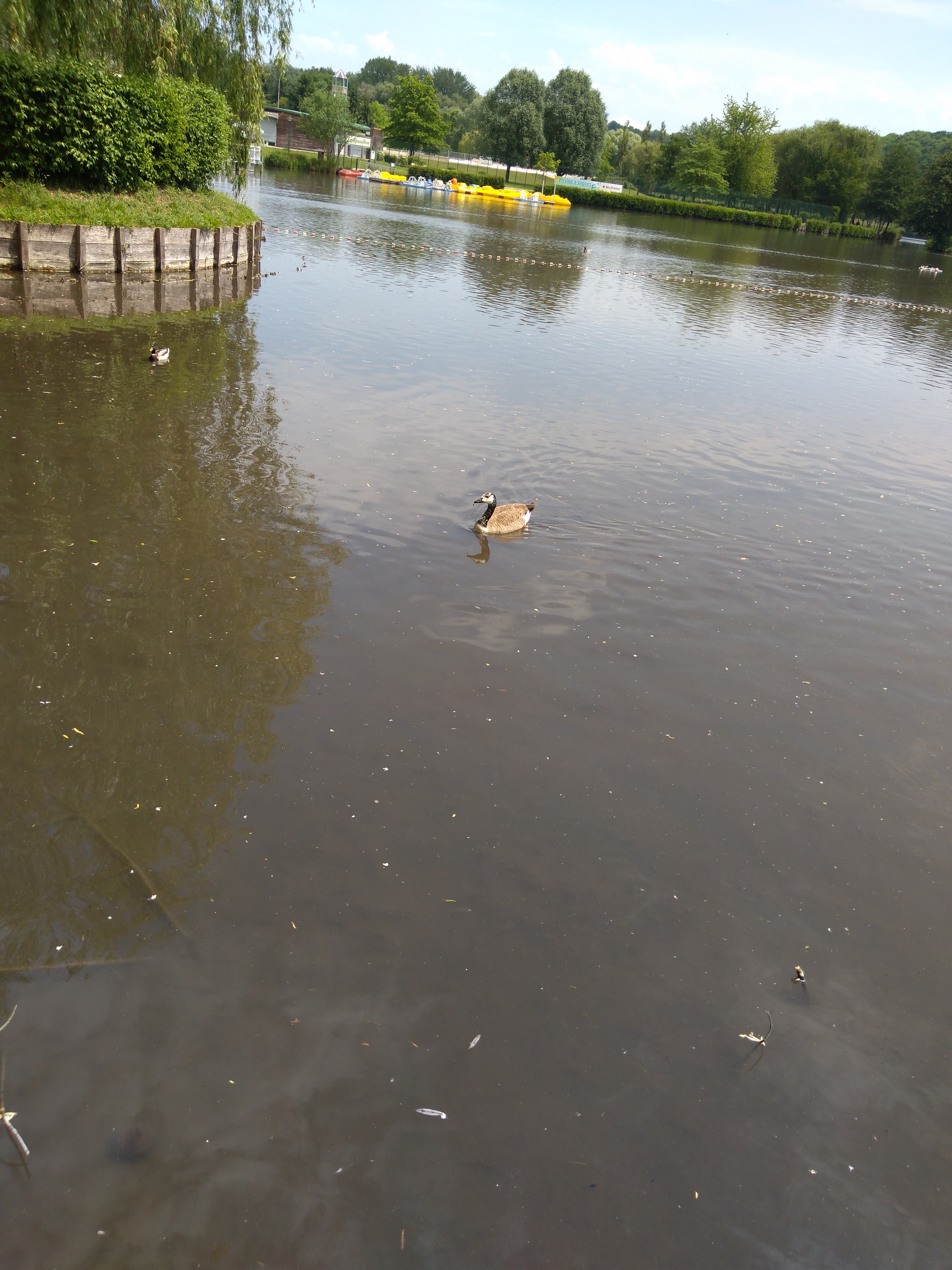 Photo n° 6 de l'avis de Cedric.o fait le 28/05/2017 à 11:48