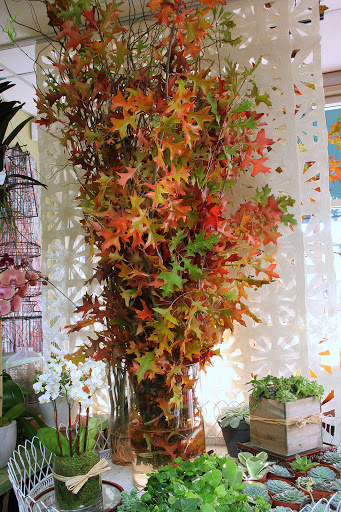 Florist «LARCHMONT VILLAGE FLORIST», reviews and photos, 420 N Larchmont Blvd, Los Angeles, CA 90004, USA