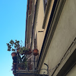 Photo n°1 de l'avis de Paola.a fait le 03/01/2024 à 15:06 sur le  Trattoria Bar Coco's à Turin