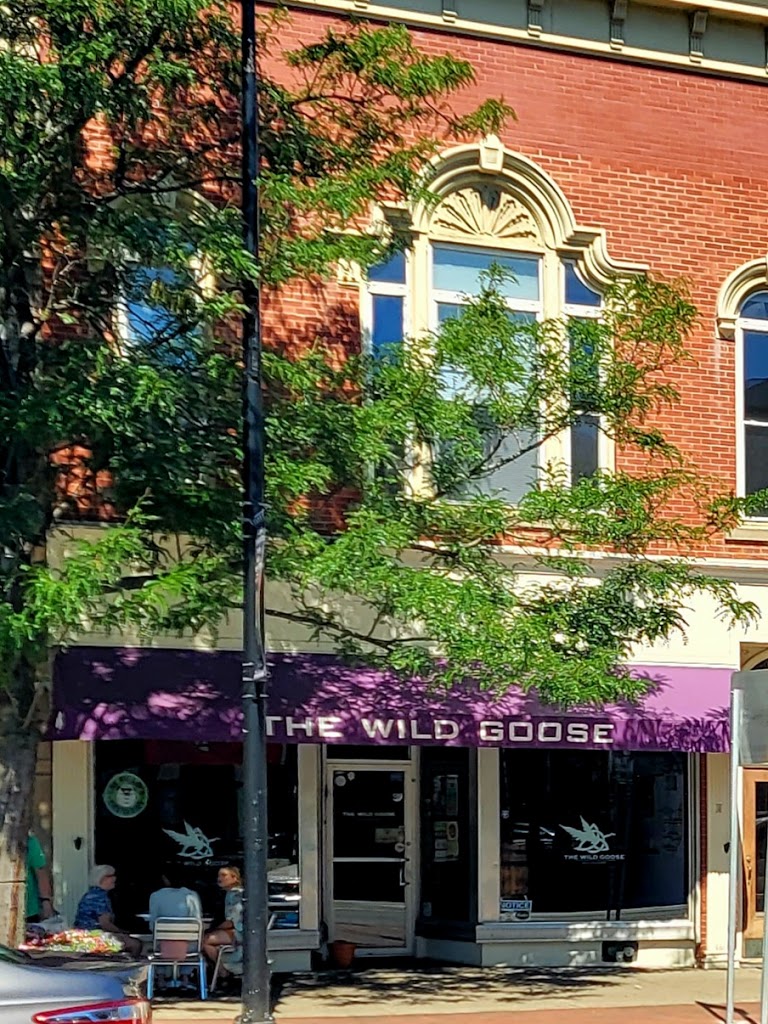 The Wild Goose 44094