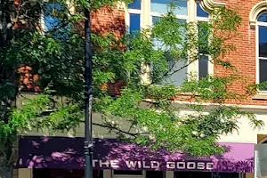 The Wild Goose image