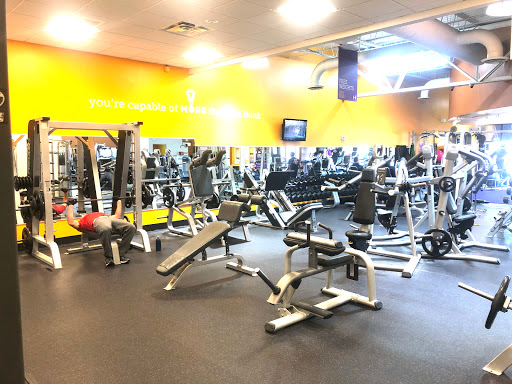 Anytime fitness Indianapolis