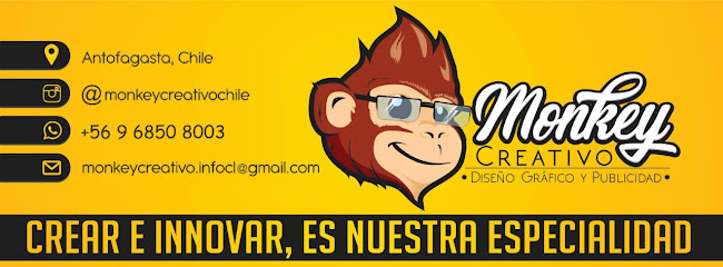 Monkey creativo - Antofagasta