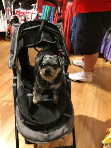 Toy Store «Disney Store», reviews and photos, 4818 River City Dr, Jacksonville, FL 32246, USA