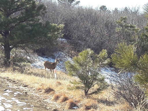 State Park «Cheyenne Mountain State Park», reviews and photos, 410 JL Ranch Heights Rd, Colorado Springs, CO 80926, USA