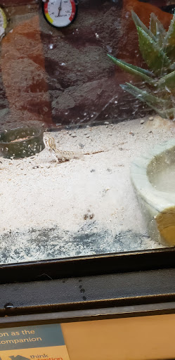 Pet Supply Store «Petco Animal Supplies», reviews and photos, 4440 Rib Mountain Dr, Wausau, WI 54401, USA