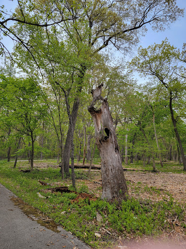 Nature Preserve «Sauk Trail Woods», reviews and photos, 3028 Forest Preserve Dr, Chicago Heights, IL 60411, USA