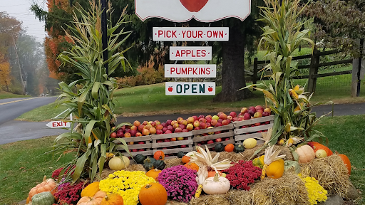 Riamede Farm, 122 Oakdale Rd, Chester, NJ 07930, USA, 