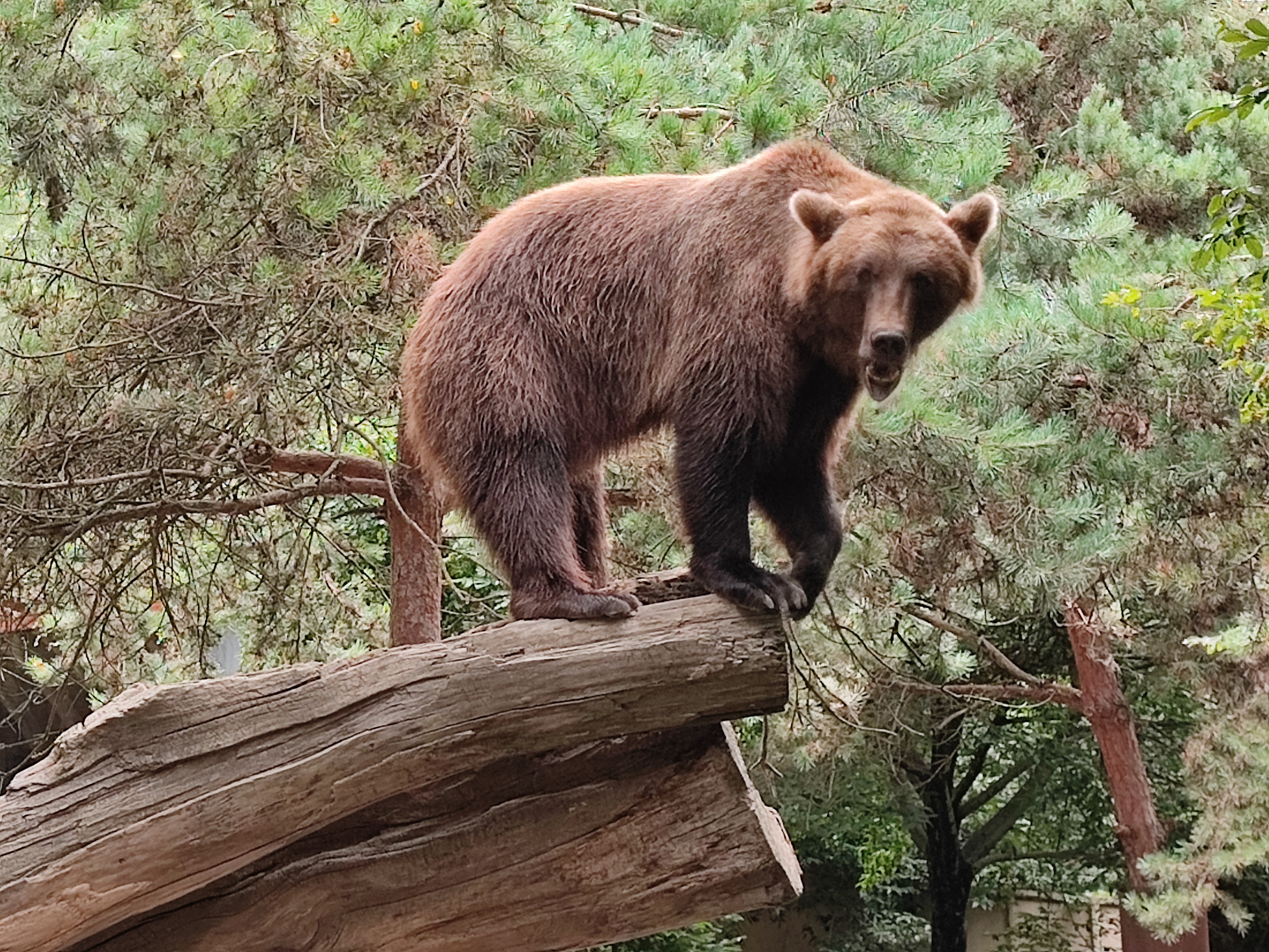 Photo n° 3 de l'avis de Frédéric.a fait le 15/08/2023 à 14:45