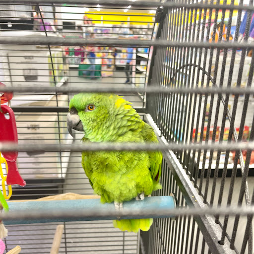 Pet Store «B & B Pet Stop, Inc.», reviews and photos, 5035 Cottage Hill Rd, Mobile, AL 36609, USA