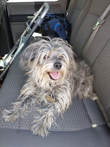 Pet Groomer «Aspen Grooming & Pet Supply», reviews and photos, 2403 Santa Fe Dr # 6, Pueblo, CO 81006, USA