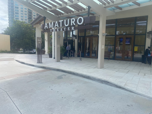 Performing Arts Theater «Au-Rene Theater at Broward Center For The Performing Arts», reviews and photos, 201 SW 5th Ave, Fort Lauderdale, FL 33312, USA