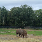 Photo n° 14 de l'avis de Jeremy.e fait le 03/10/2023 à 12:26 pour Zoo Thoiry à Thoiry